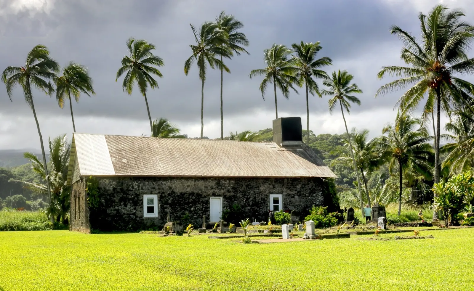 A house with palm trees and a pitched roof