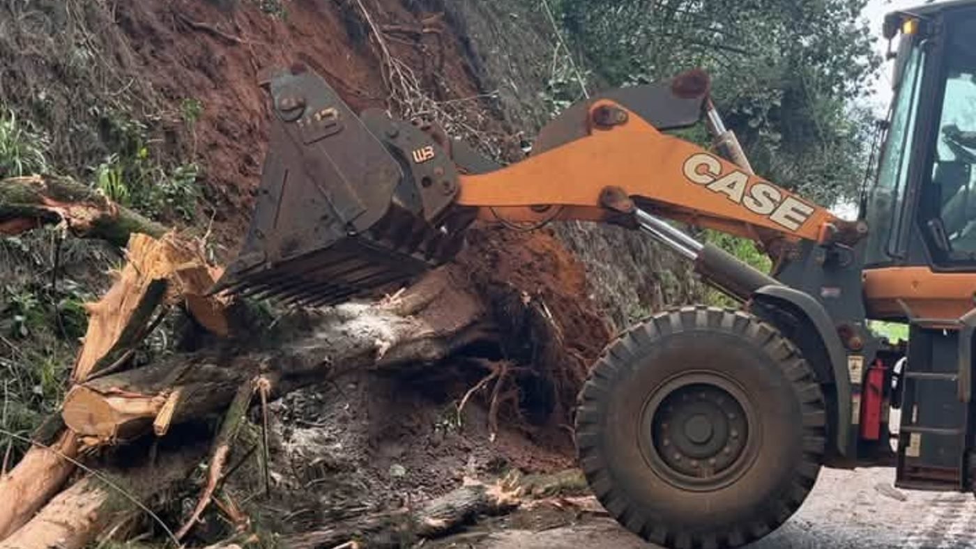 Crews clearing trees and debris from Kaumualiʻi Highway near Knudsen Gap, Kauaʻi after Hurricane Lowell