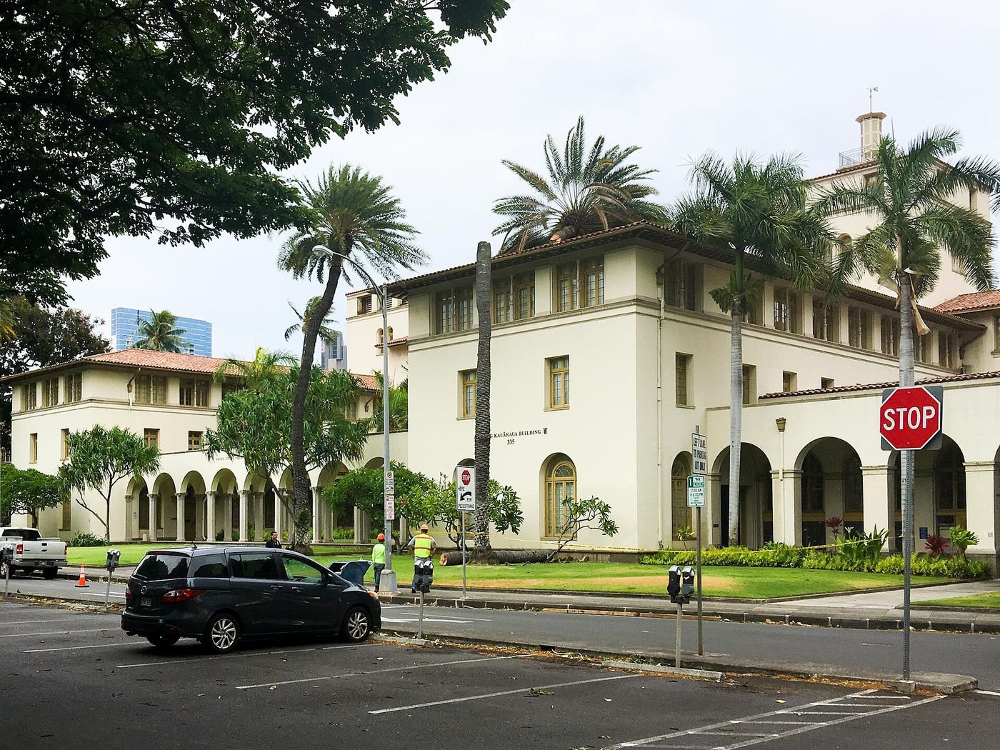 A broken palm tree on top of the King Kalākaua Building in downtown Honolulu after Hurricane Lane in August 2018