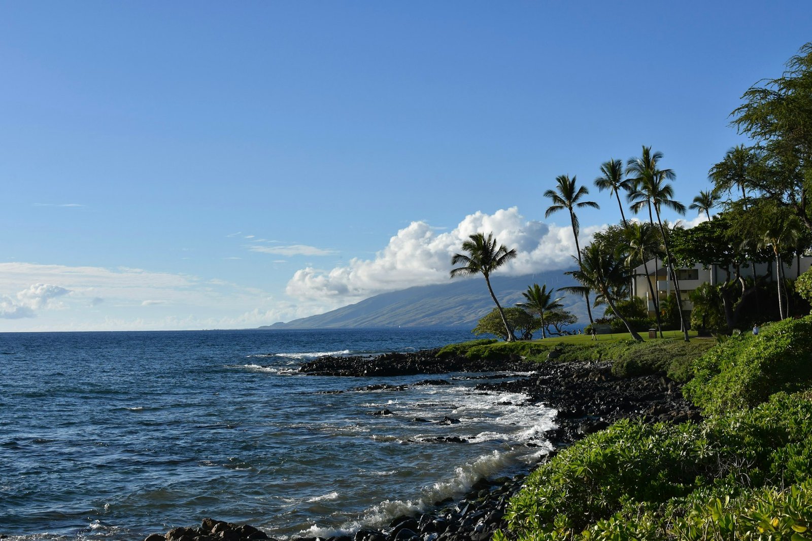 Maui shoreline with palm trees, lava rock and mountains in the background